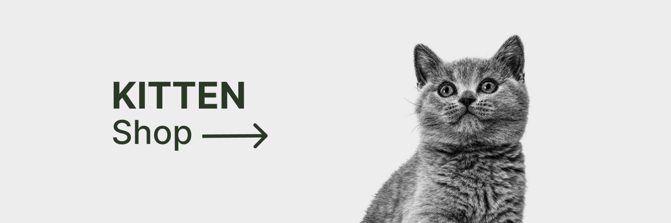 Faites vos achhats pour chatons