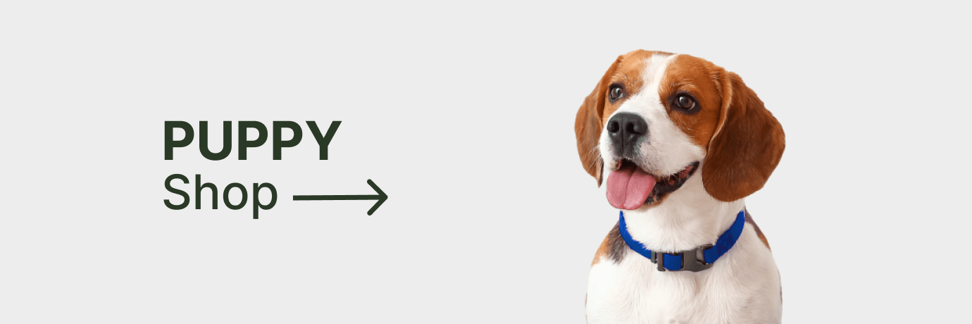 Faites vos achats pour chiots